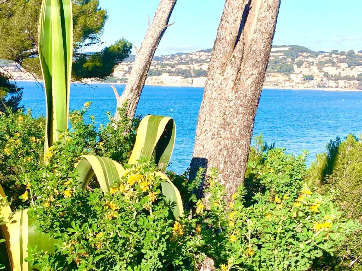 La Plage A 5 Minutes A Pied, Calme Et Verdure Sanary-sur-Mer Exteriér fotografie